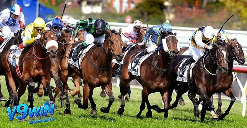 Hướng dẫn chi tiết cách chơi cá cược đua ngựa v9win